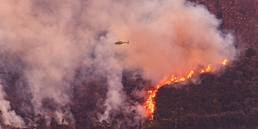 Estado do Rio cria novo sistema de prevenção e endurece punições para crimes de incêndio florestal