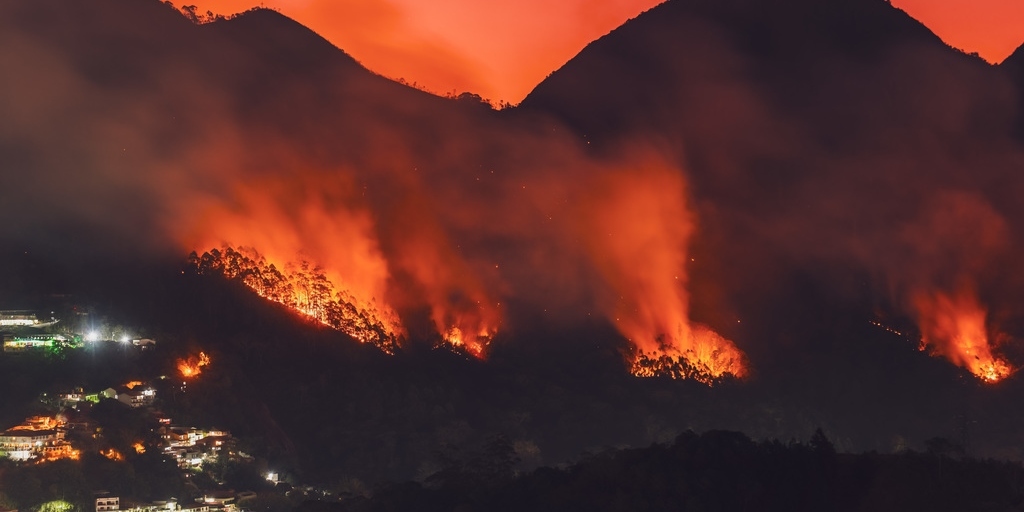 Lei estadual segue modelo federal e aplicará sanções mais adequadas no combate ao desmatamento, aos incêndios e queimadas