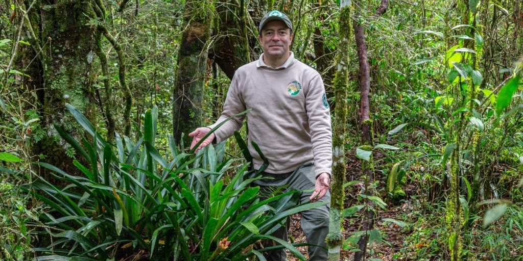 Guarda-parque e fotógrafo, Rodrigo Freitas descobriu a nova planta