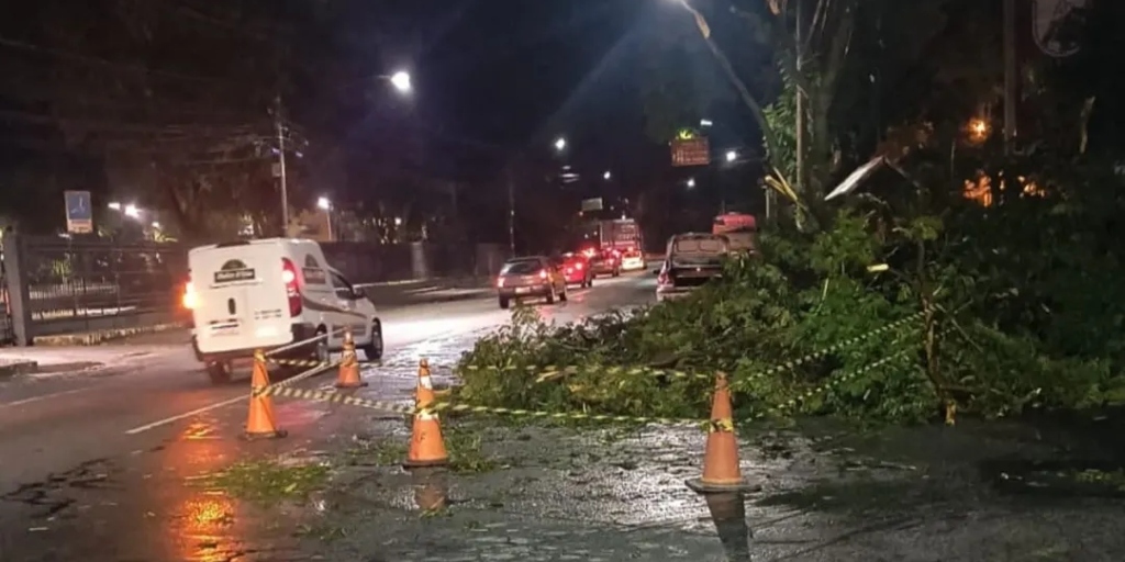 Queda de árvore neste domingo, 9, na avenida Euterpe Friburguense 