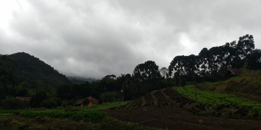 Que frio! Friburgo registra sensação térmica de 0,8ºC; veja como fica o tempo nesta semana 