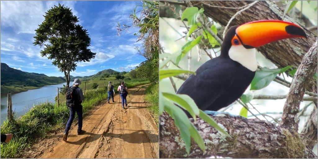 Trilhas acessíveis para prática da caminhada em meio ao sossego e ambiente rural 