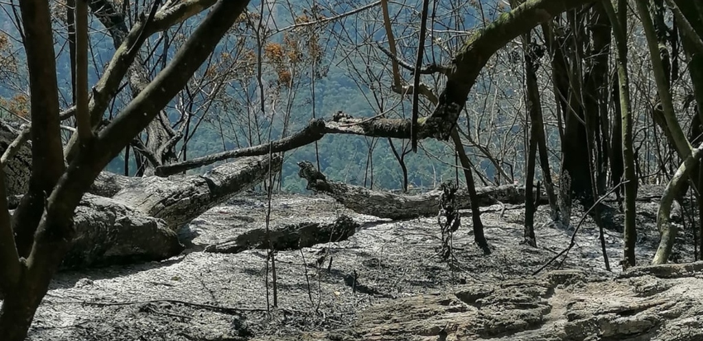 Moradores registraram destruição após queimadas na região dos Três Picos