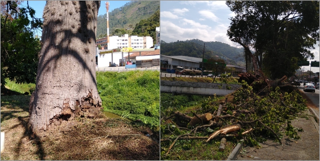 Dante Laginestra: o prefeito de Nova Friburgo na era Getúlio Vargas