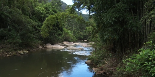 Nova Friburgo terá conferência municipal sobre 'Emergência Climática: o desafio da transformação ecológica', em dezembro