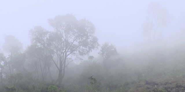 Nova Friburgo registra oficialmente a menor temperatura do ano nesta terça, 26 | Portal Multiplix