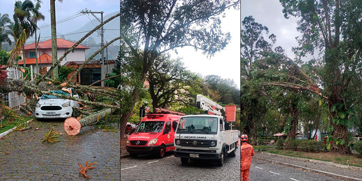 Ventania causa transtornos em Friburgo no último domingo; energia e transporte ainda não foram totalmente normalizados