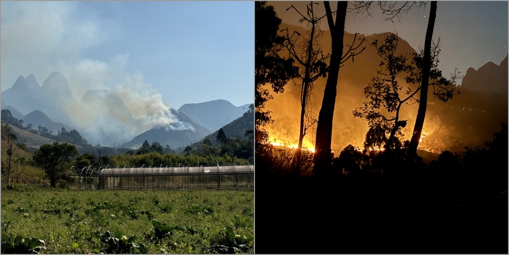 Parque Estadual dos Três Picos teve parte de sua área incendiada durante três dias 