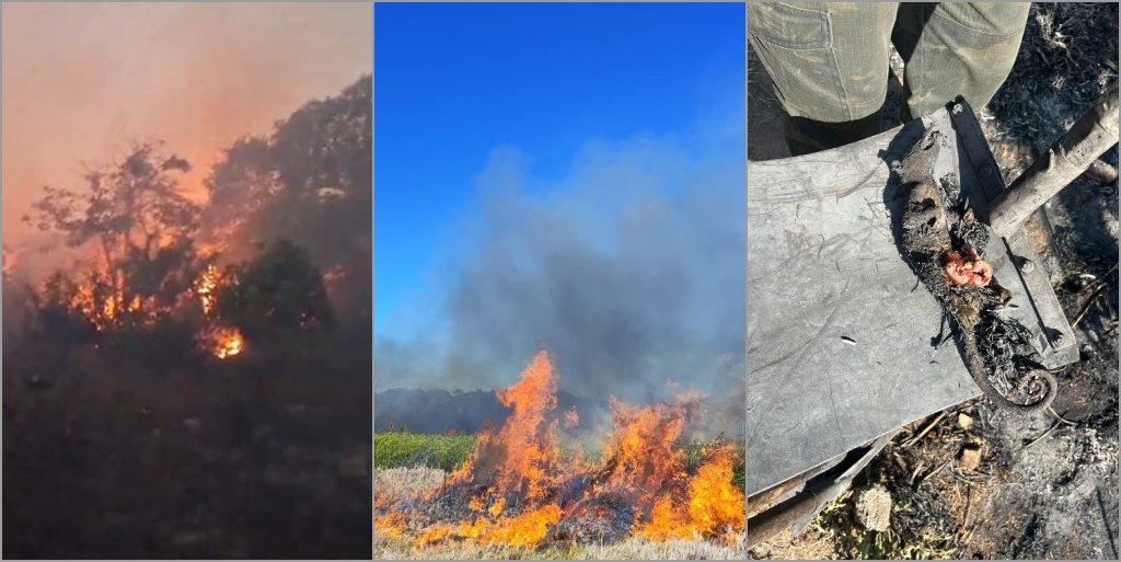 Incêndios em vegetação em Cabo Frio e Arraial deixam rastros de destruição 