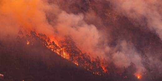 MPRJ cobra informações da Prefeitura de Friburgo e instituições sobre medidas de prevenção e combate a incêndios