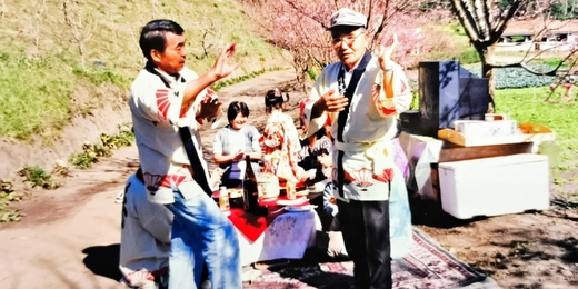 Festa japonesa das cerejeiras em flor vai encantar Nova Friburgo no fim de semana; conheça a tradição do Hanami