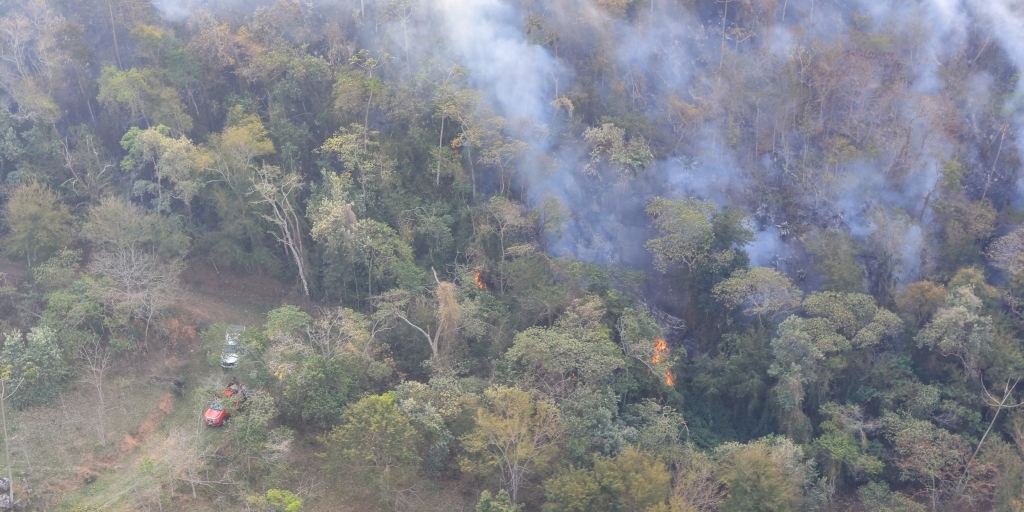 Corpo de Bombeiros extinguiu mais de 1.400 focos de incêndio, desde a criação de força-tarefa