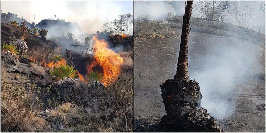 Parque Estadual dos Três Picos sofreu com queimadas nas últimas semanas