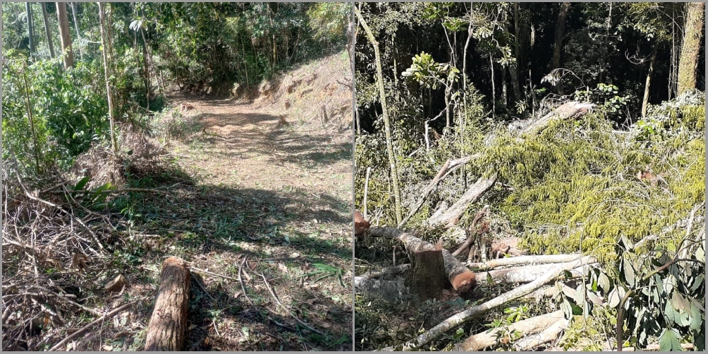 Nova Friburgo e Teresópolis registraram juntas mais de 560 denúncias ao Linha Verde em 2024