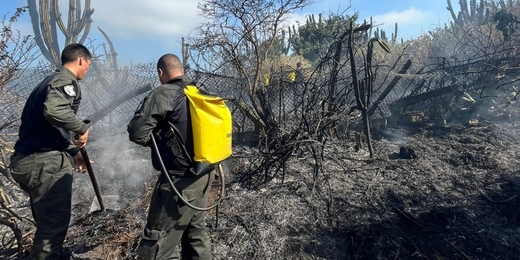 Arraial do Cabo registra três pontos de incêndios em um mesmo dia; veja as imagens