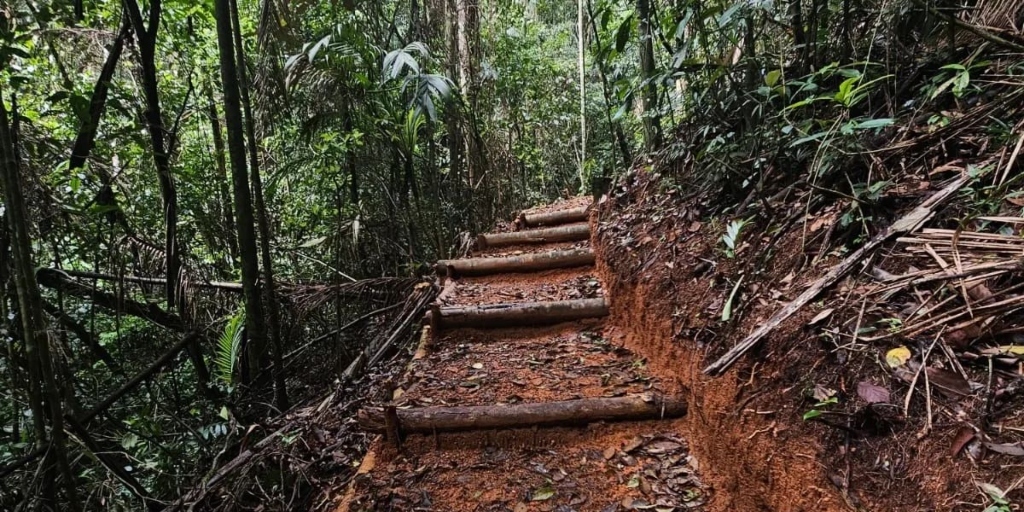 Trilhas são construídas pelo Inea em alguns trechos para facilitar a caminhada dos visitantes