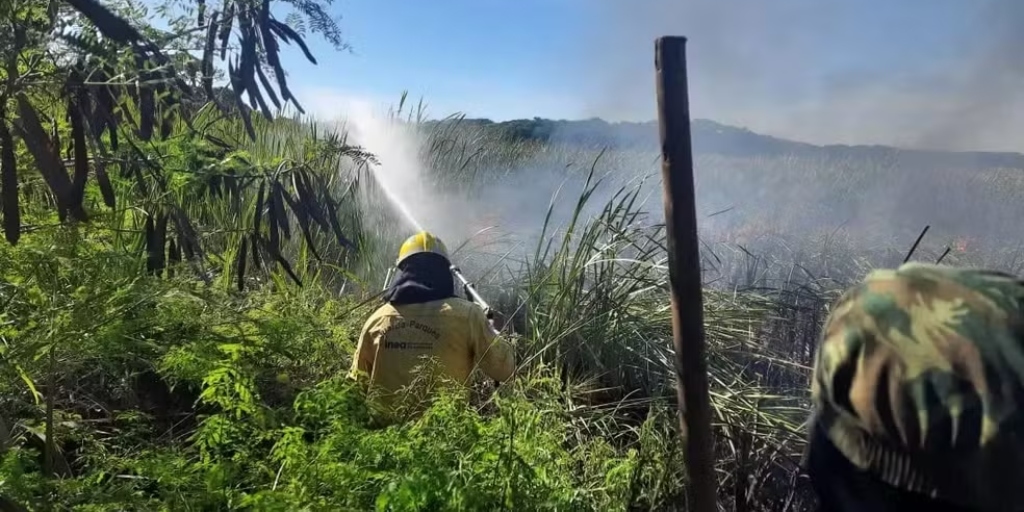 Caso foi encaminhado aos órgãos competentes para averiguação de possível crime ambiental