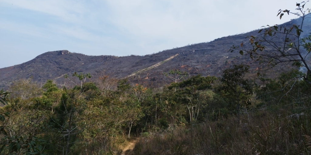 Incêndio florestal no PNMMT, ocorrido em setembro deste ano, devastou mais de 100 hectares de mata