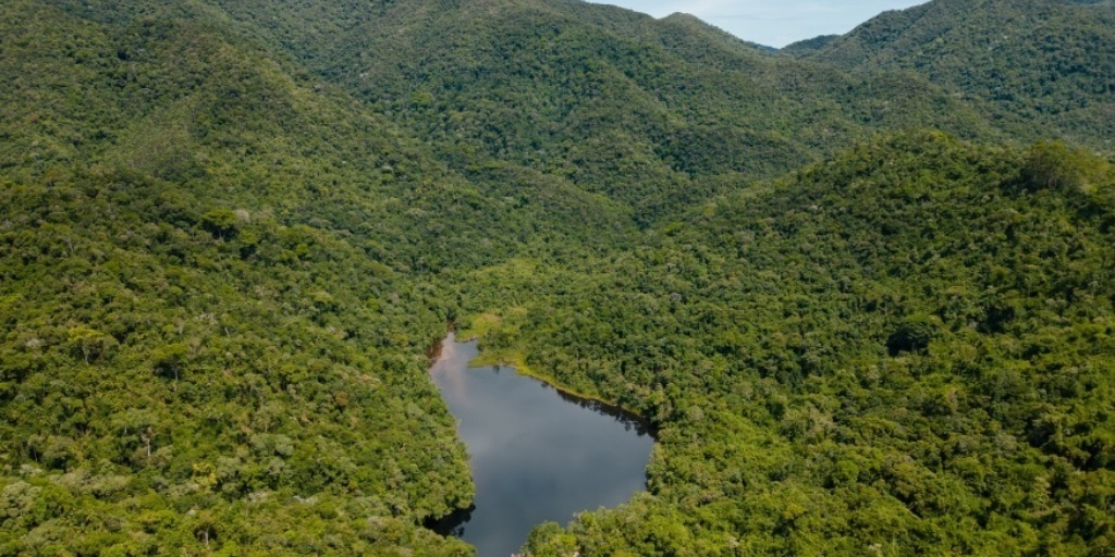 Área da Águas de Nova Friburgo, na localidade de Debossan, é monitorada pelo Aventura Animal